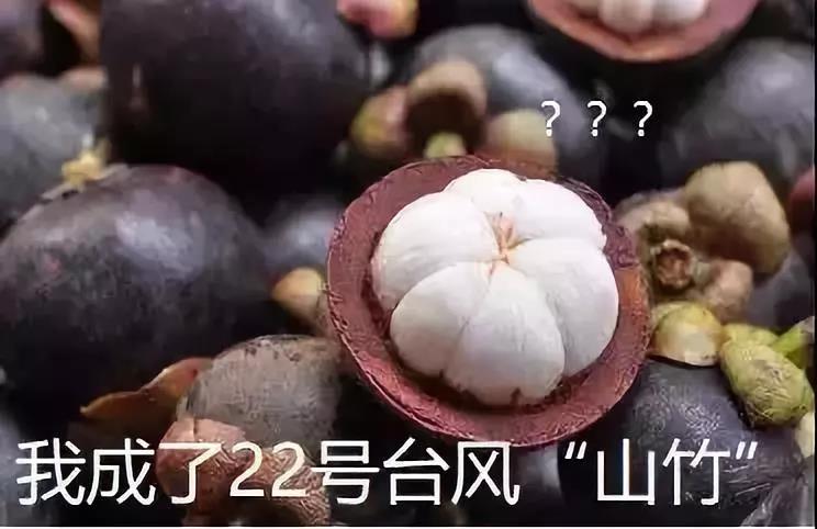 ʱk8-ʱ Ӯϲ